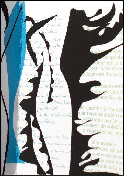 Prise de parole, prise d’écriture. Ethnocritique du devenir-écrivaine (EHESS Paris)