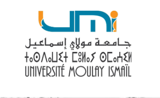 Le phénomène d’ambiguïté : approches interdisciplinaires (Meknès, Maroc)