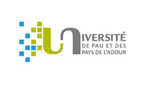 Poétique des récits et images enchâssés dans la littérature et les arts du monde anglophone: frontières en mouvement / Poetics of Embedded Narratives and Images in the Literature and Arts of the English-speaking World: Moving Borders (Pau)