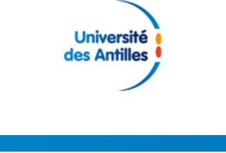 Dynamiques identitaires dans les Amériques des années 2000 à nos jours : résistance, résilience et empowerment (Univ. des Antilles)