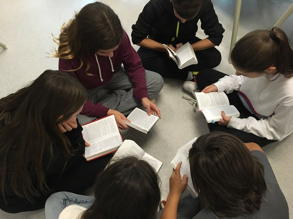 La fiction à l'école