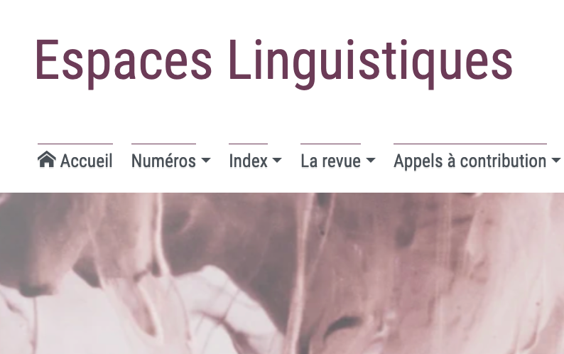 Attention, une personne peut en cacher une autre (revue Espaces Linguistiques)