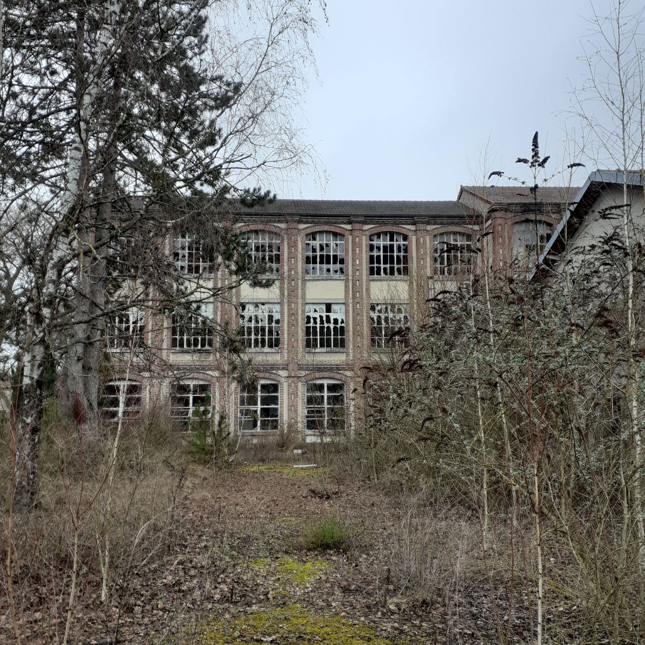 Littérature de terrain