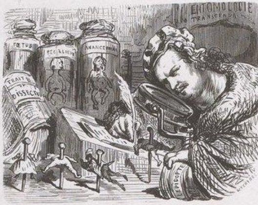La séduction du trait