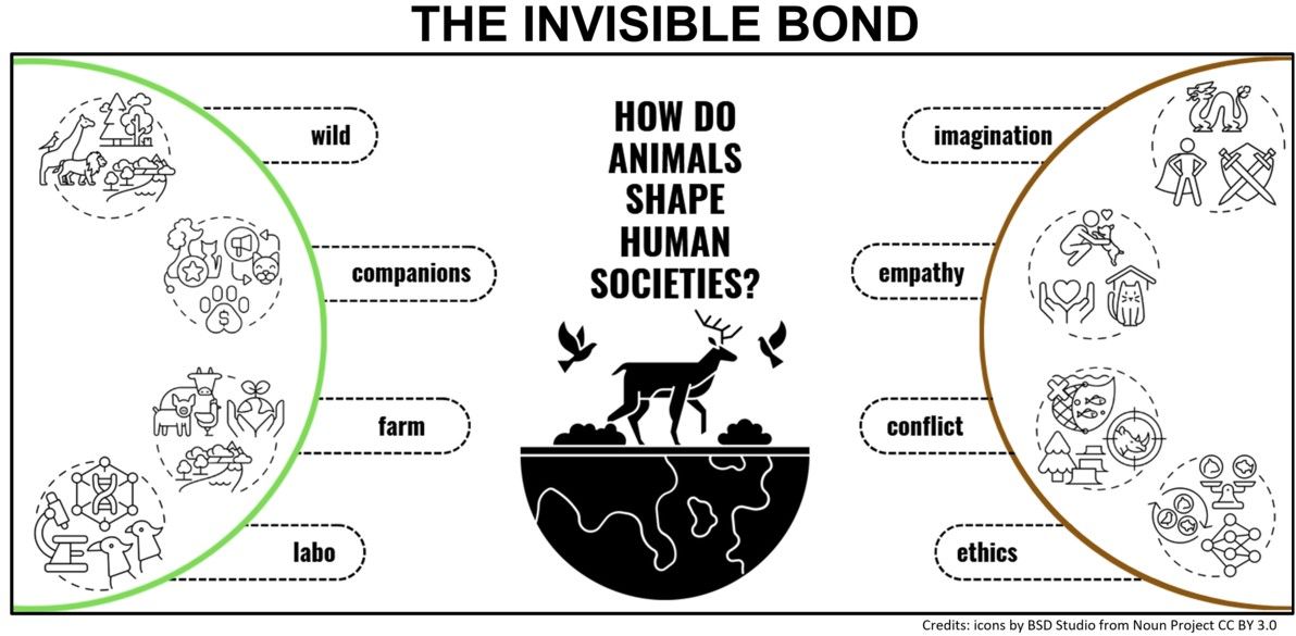 The Invisible Bond: How Animals Shape Human Society (revue Animals)