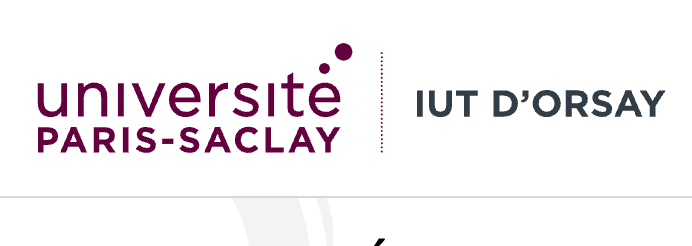 Charge de cours en culture et communication à l’IUT d’Orsay (Univ. Paris Saclay)