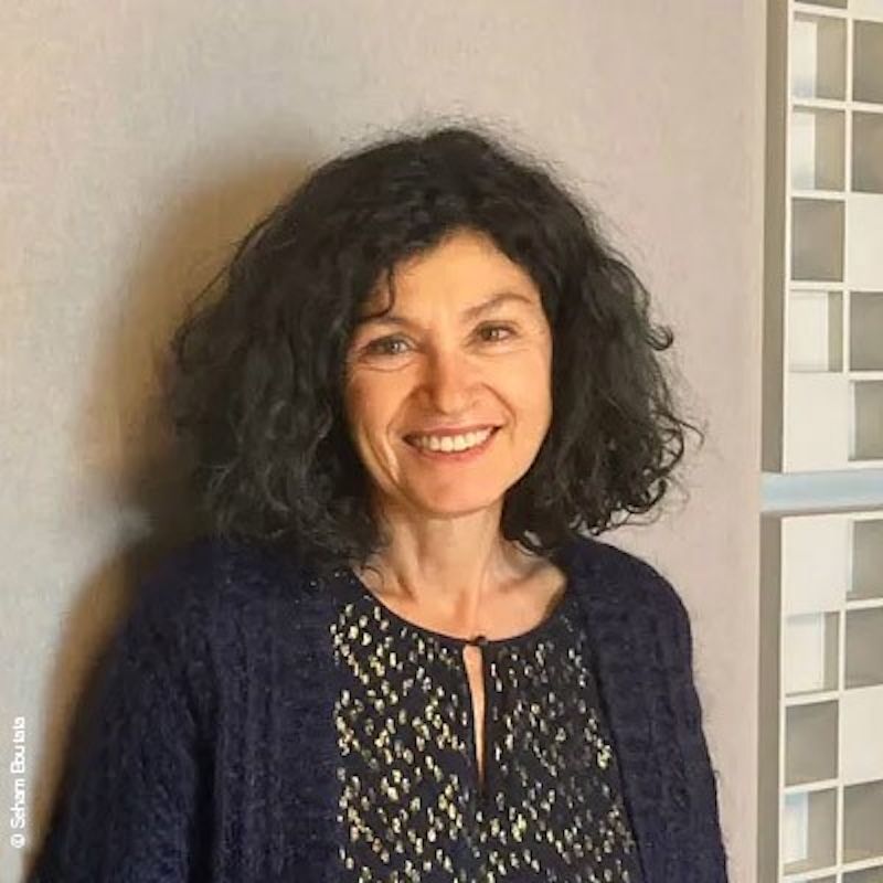 Le comparatisme en perspectives. Conférence d'Anne Tomiche (Lausanne)