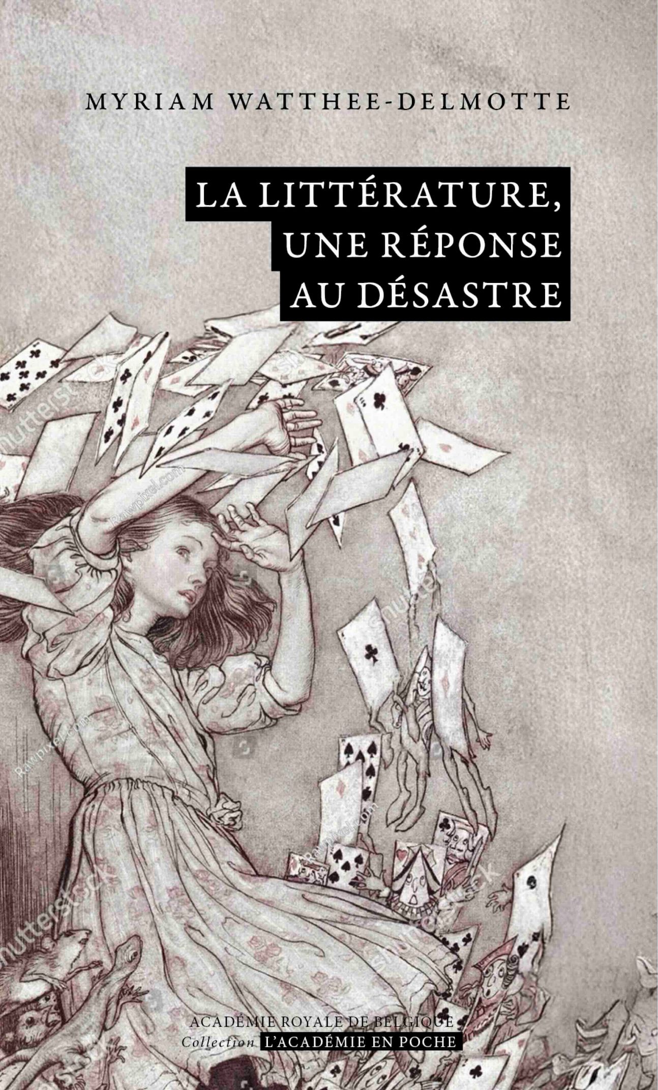 Myriam Watthee-Delmotte, La litétrature, une réponse au désastre