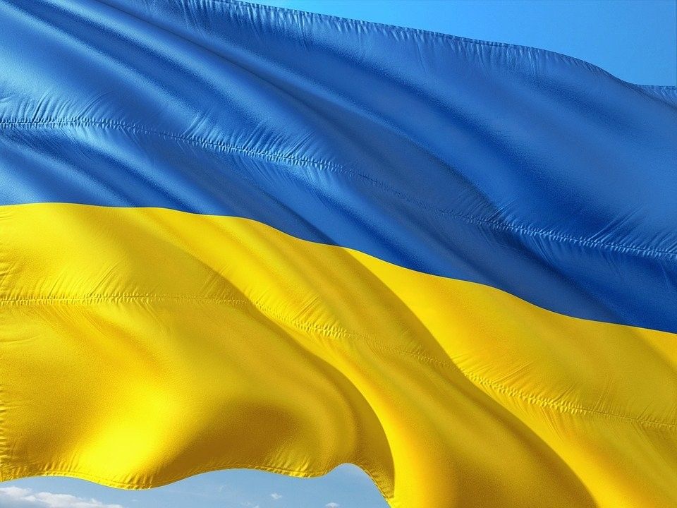 Facteurs et acteurs de la (non)réception de la littérature ukrainienne en France (Paris)