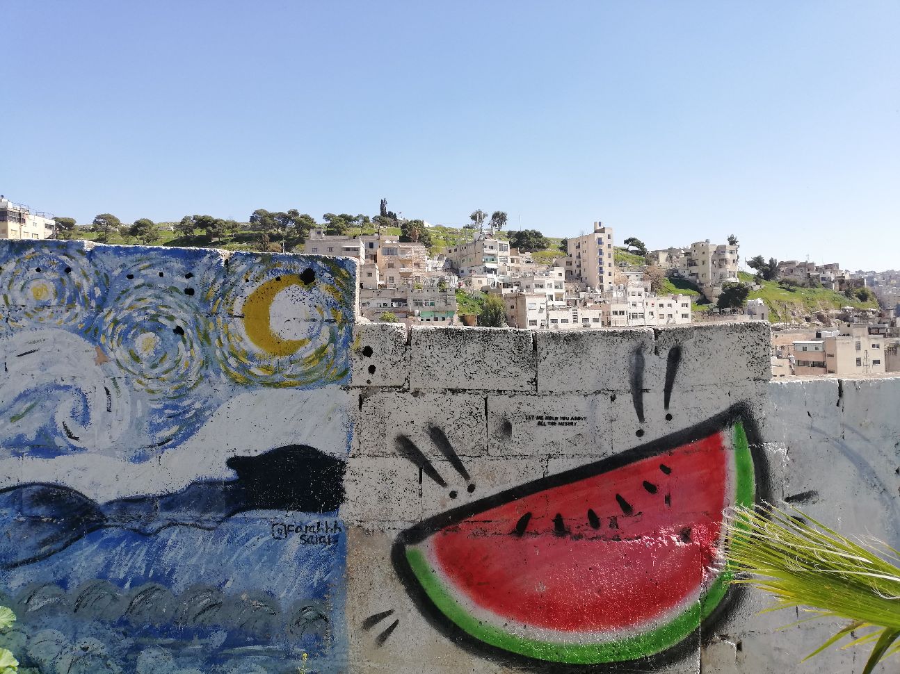 Re-creating Palestine: Trauma, Memory and Resistance in the Contemporary Artistic Production in/on Palestine (Bergame)