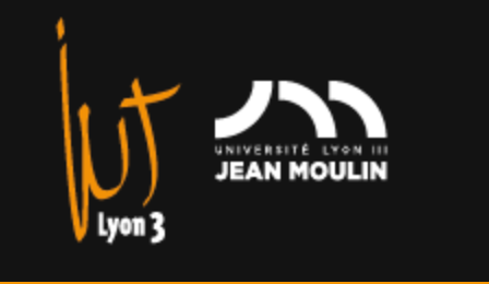 Vacations en expression écrite et orale (IUT Lyon 3 Jean Moulin, département GACO)