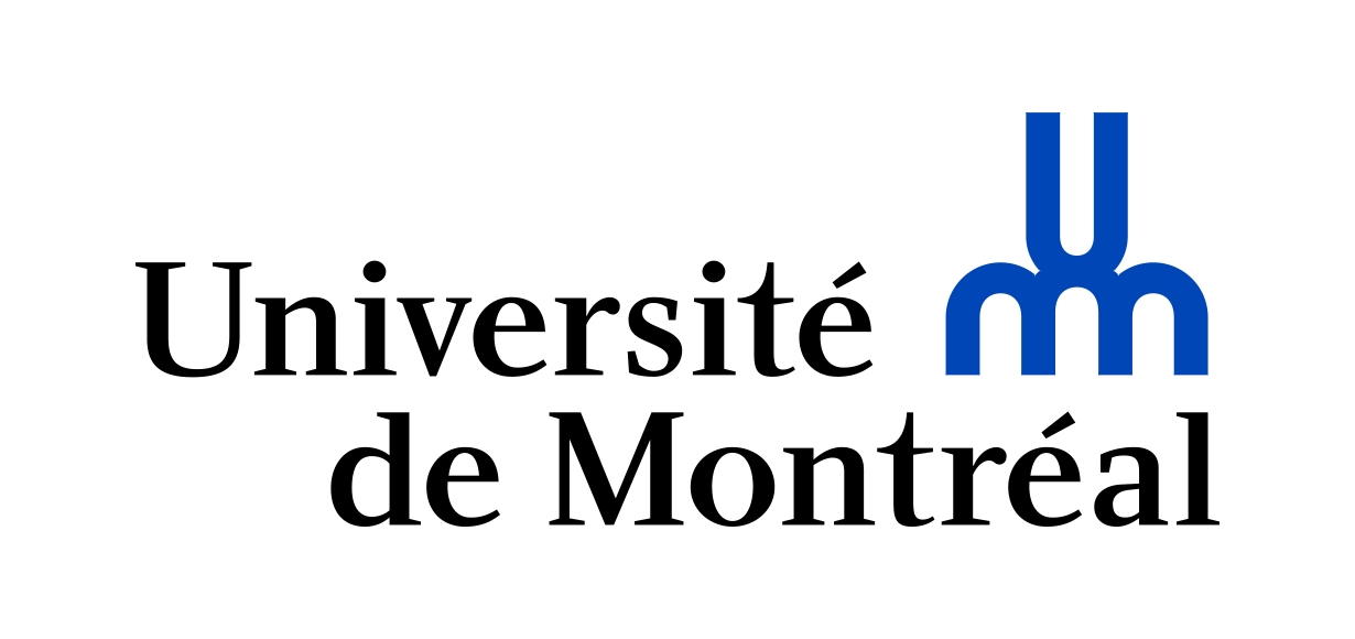 Poste de professeure ou professeur au rang d’adjoint en littérature comparée (théorie, littérature française moderne et littératures hispanophones d’Amérique latine)
