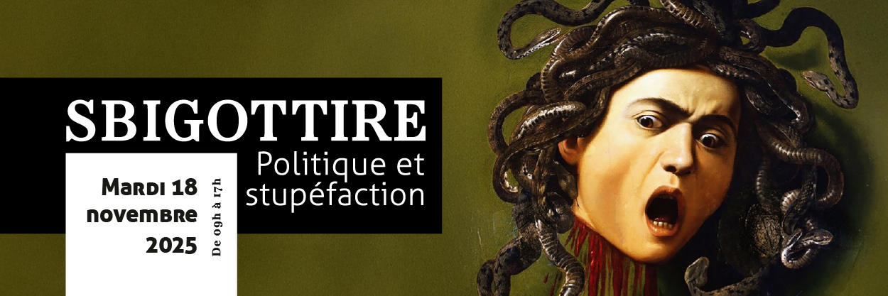 Sbigottire. Politique et stupéfaction (Lyon)