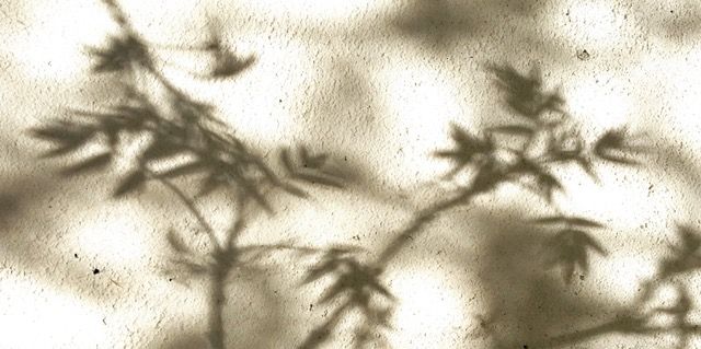Language, end of life, death, and bereavement: an interdisciplinary perspective / Langage, fin de vie, mort et deuil : une perspective interdisciplinaire ((Lexique 2026 Special Issue)