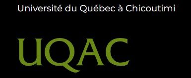 Porter la queerité à l'écran (Université du Québec à Chicoutimi)
