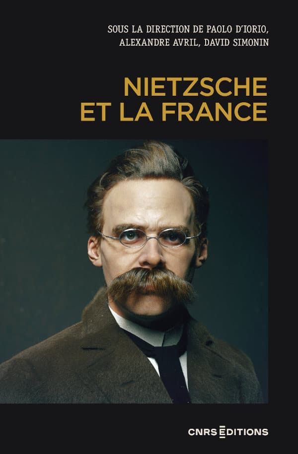 Paolo D'Iorio, Alexandre Avril, David Simonin (dir.), Nietzsche et la France