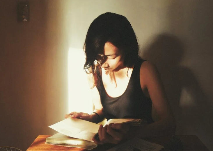 Le penser pensif de la littérature