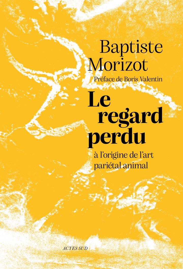 Baptiste Morizot, Le regard perdu. À l'origine de l'art pariétal animal