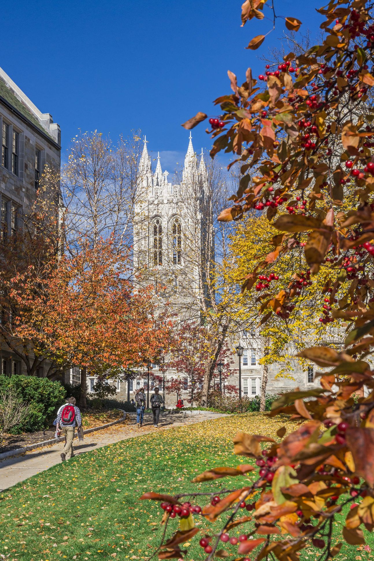 Fully-Funded Two-Year M.A. in French at Boston College - AY 2026-2028