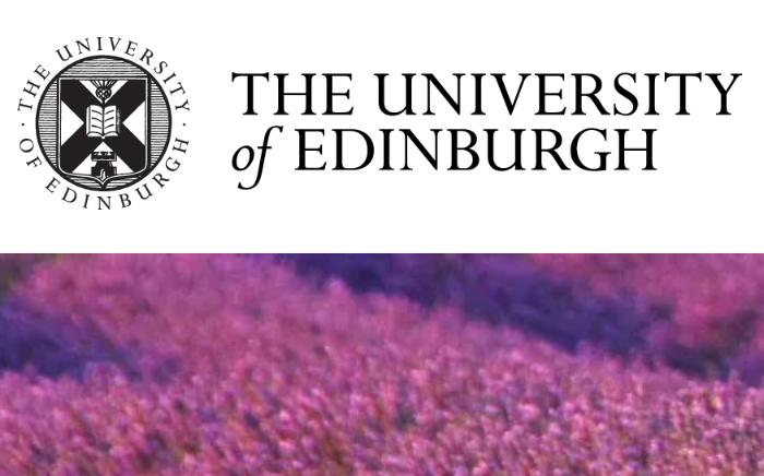 Ça (ne) se fait pas: on Margins in Contemporary French and Francophone Literature (Edinburgh)