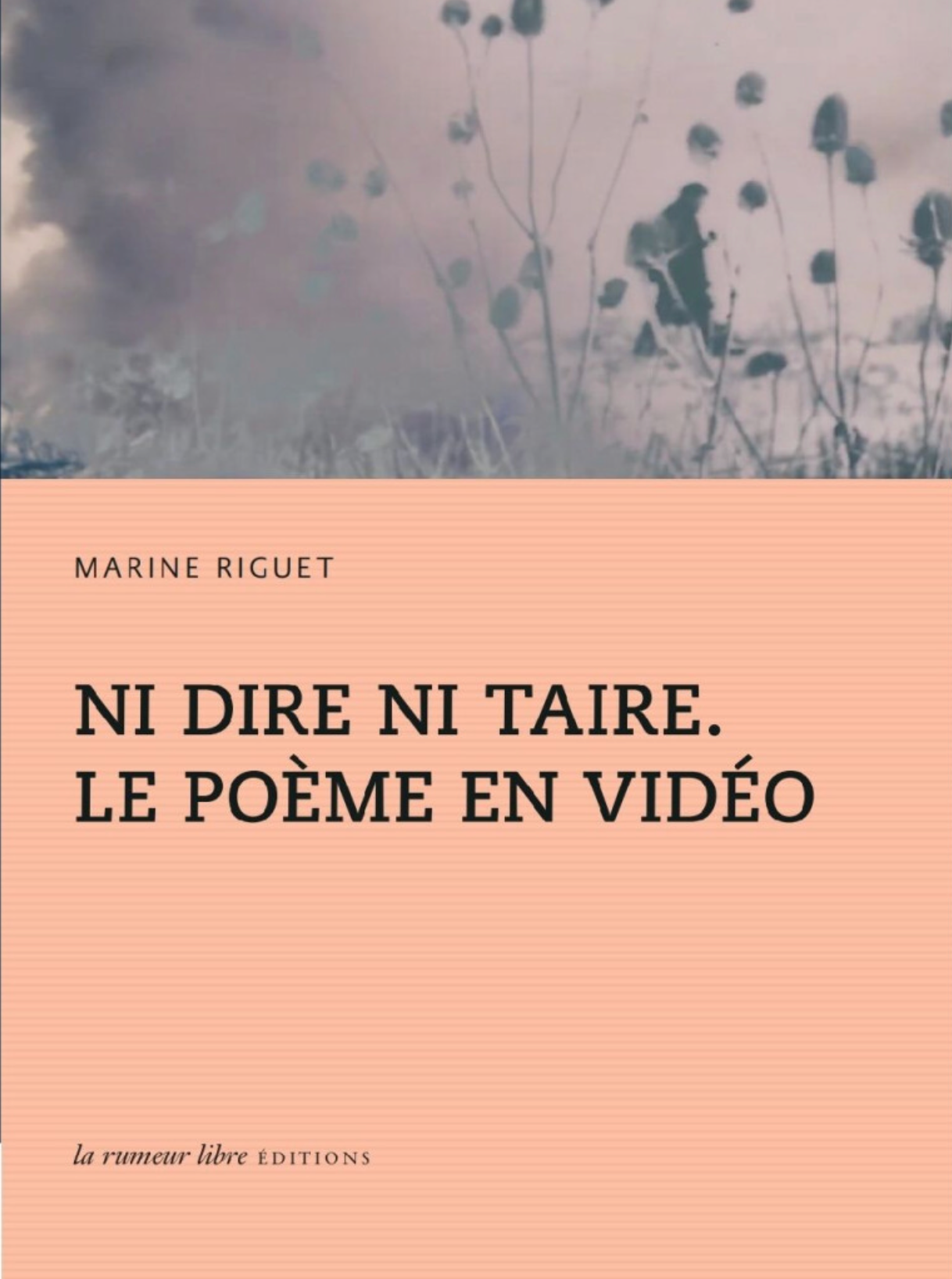 Webinaire Poemata 12 novembre 2025. Rencontre avec Marine Riguet autour de son livre Ni dire ni taire. Le poème en vidéo (en ligne)