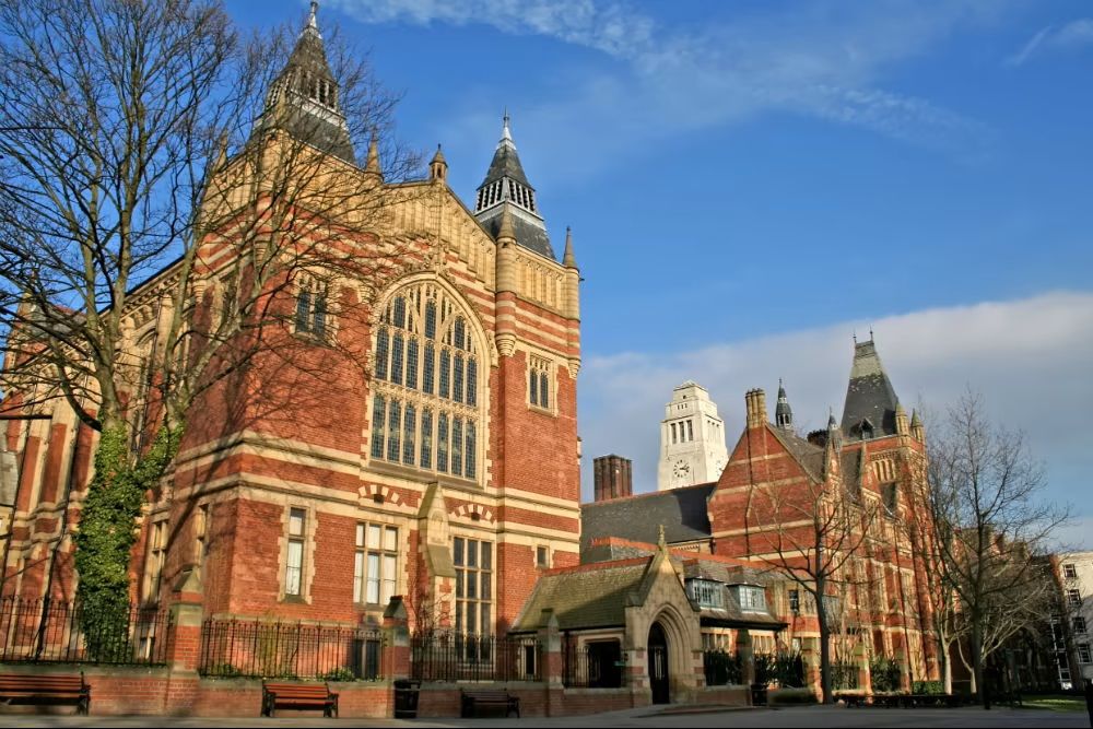 Interrogations éthiques et quête identitaire dans la littérature plurilingue. Atelier dans le cadre du 11e Congrès de la Société européenne de littérature comparée Université de Leeds, 24-28 août 2026