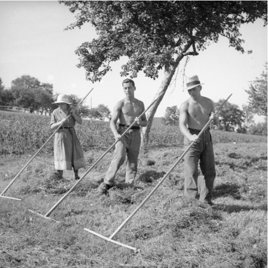 Chemins de la ruralité