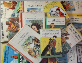 Adolescences romanesques