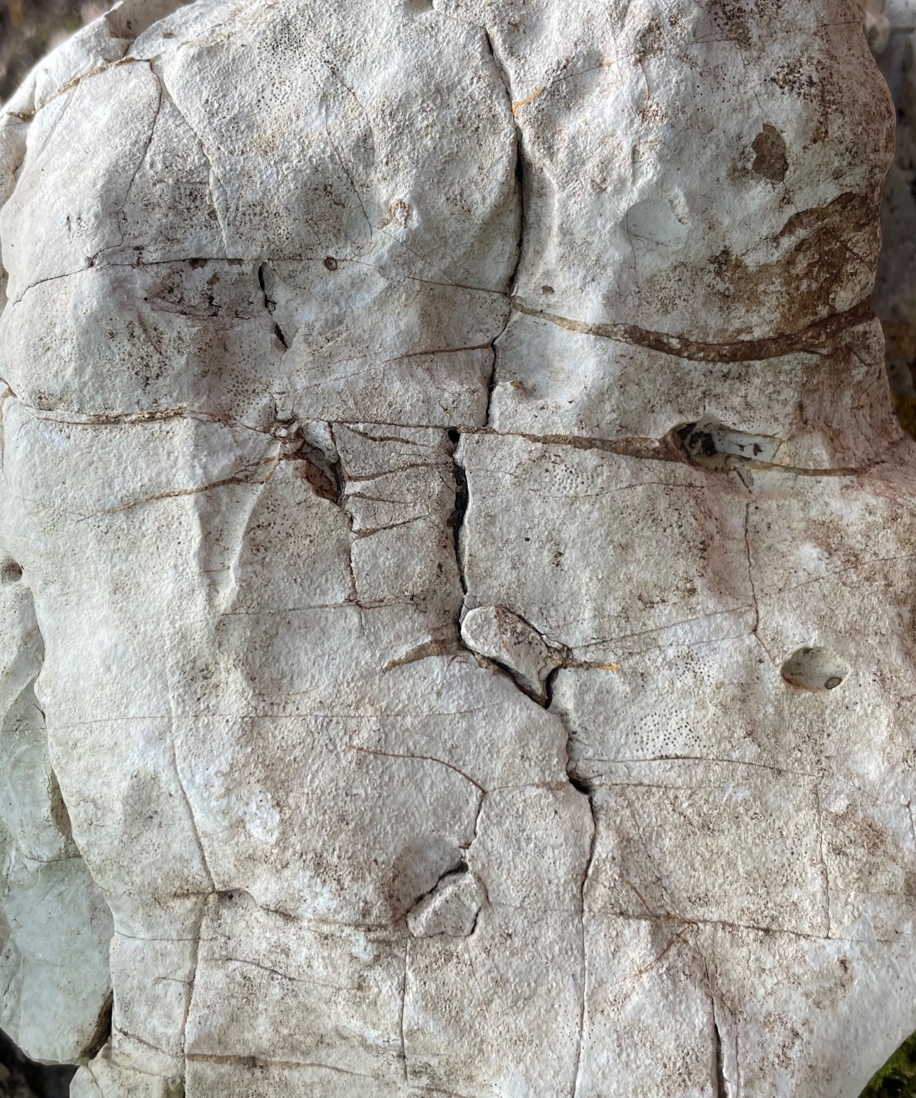 Discord and Dissonance. 9th Plotting Poetry conference (Caen, France)