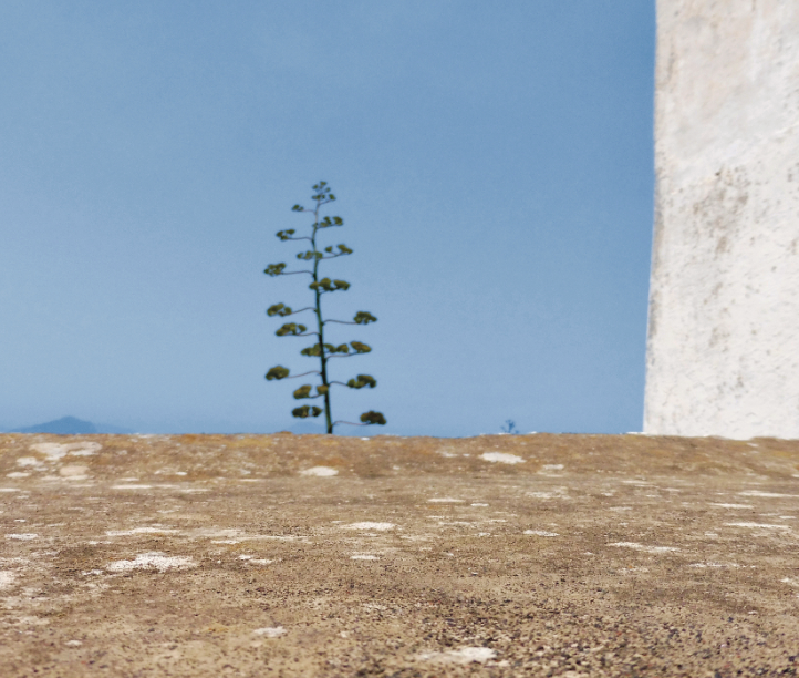 Les récits de Calvino