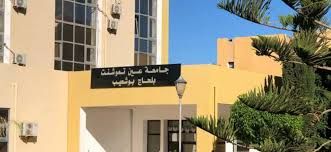 Revue algérienne des lettres RAL : Appel à contributions pour le Volume 10, n° 1, 2026 - Résonances psychanalytiques dans la création littéraire francophone 