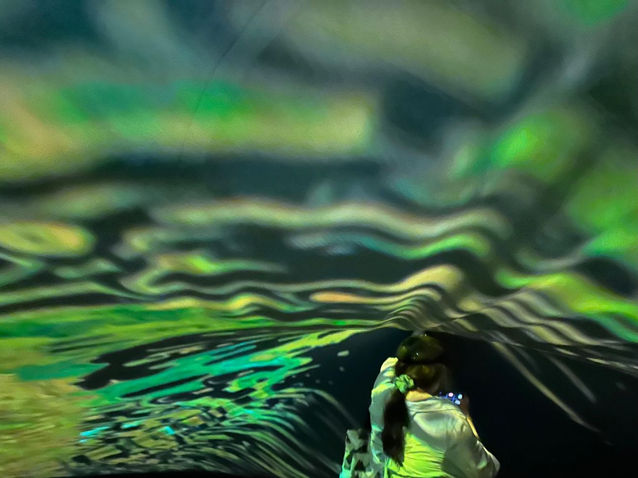 Genrer l’espace : critiques, représentations, expérimentations