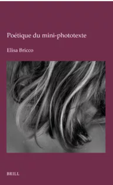 Elisa Bricco, Poétique du mini-phototexte