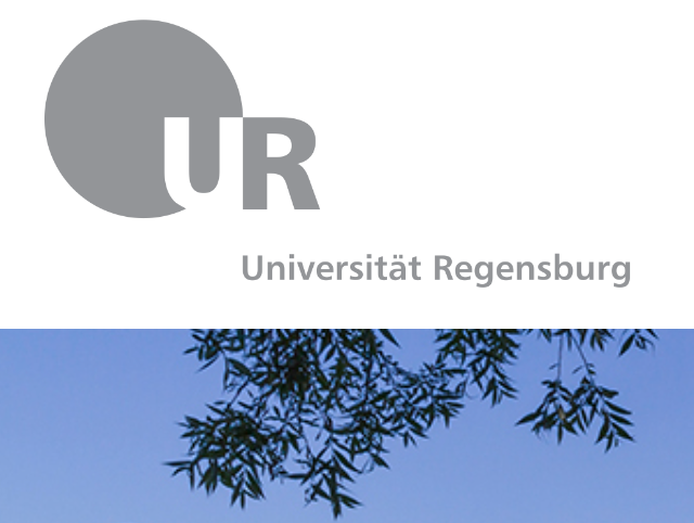 Wissenschaftlicher Mitarbeiter/Wissenschaftliche Mitarbeiterin. Postdoc (Univ. Regensburg, Allemagne)