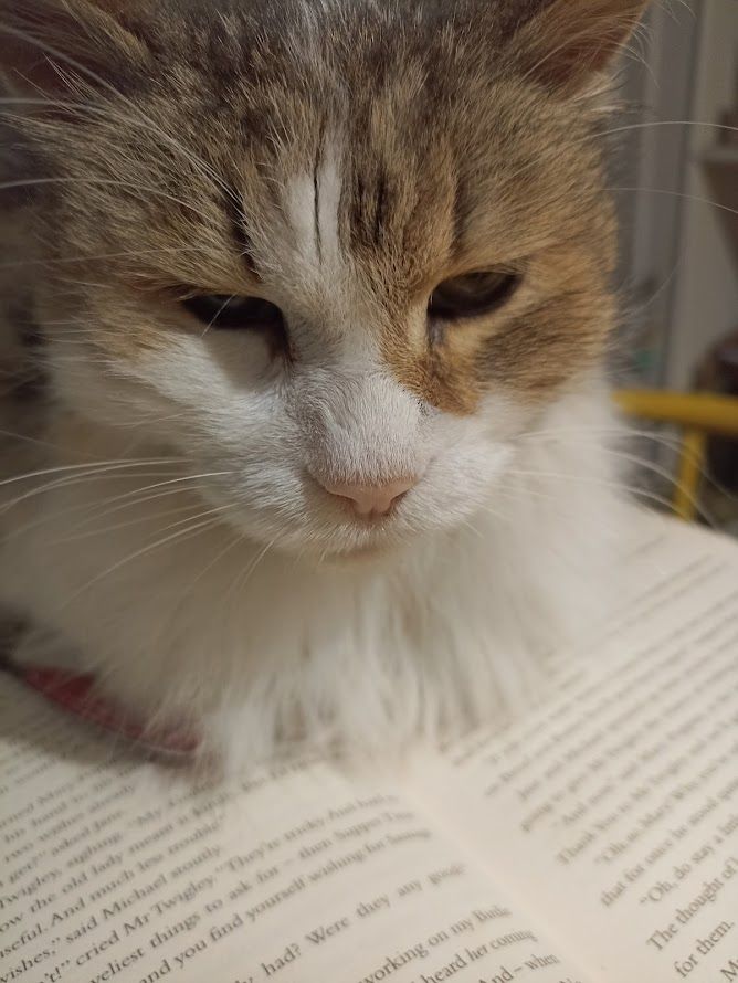 Lire comme un.e autre (Sorbonne nouvelle)