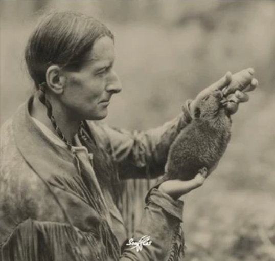 Écrire du côté des animaux