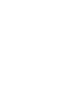 Vertus et vanité de la littérature. Séminaire annuel du groupe Phi (Rennes 2)