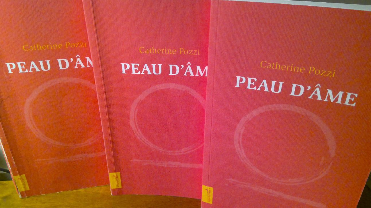 Article sur Peau d'âme de Catherine Pozzi par Pascale Mathex (blog En suivant l’équateur)