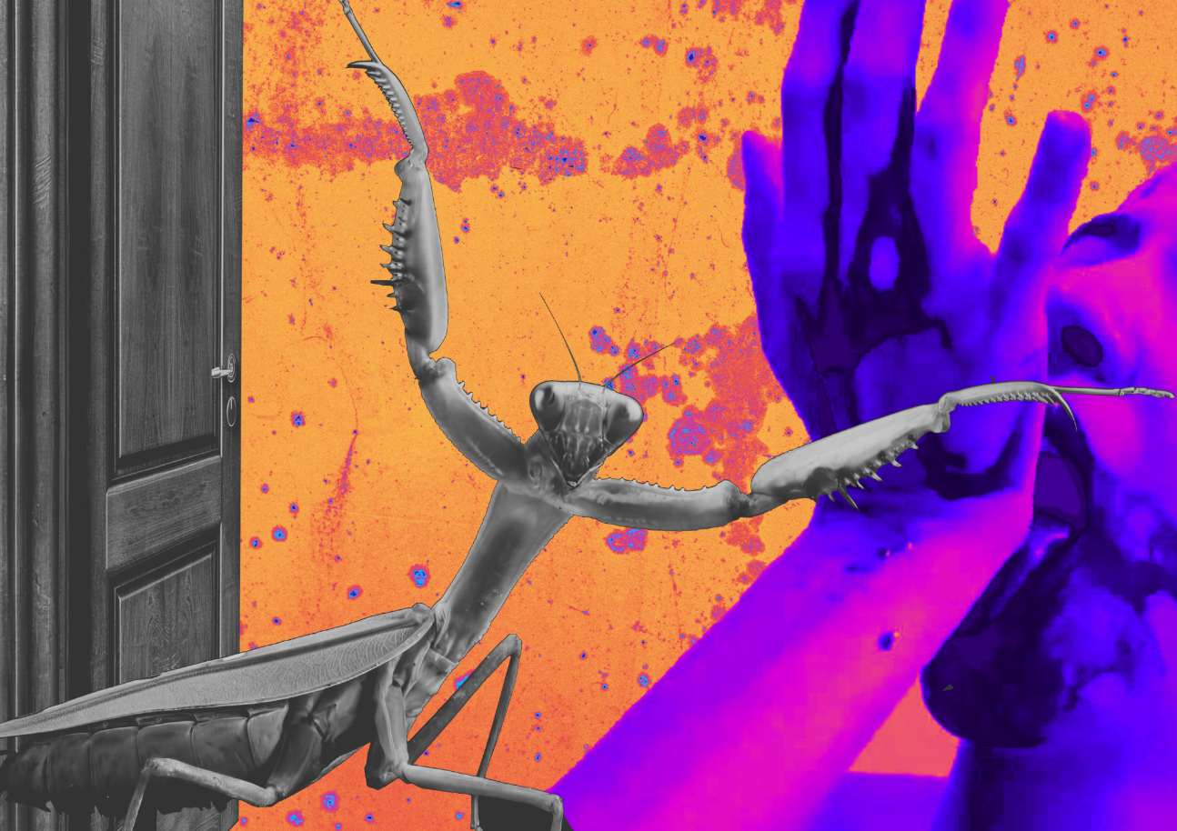 Écrire pour le théâtre aujourd'hui. Prémices 4 (Toulouse)