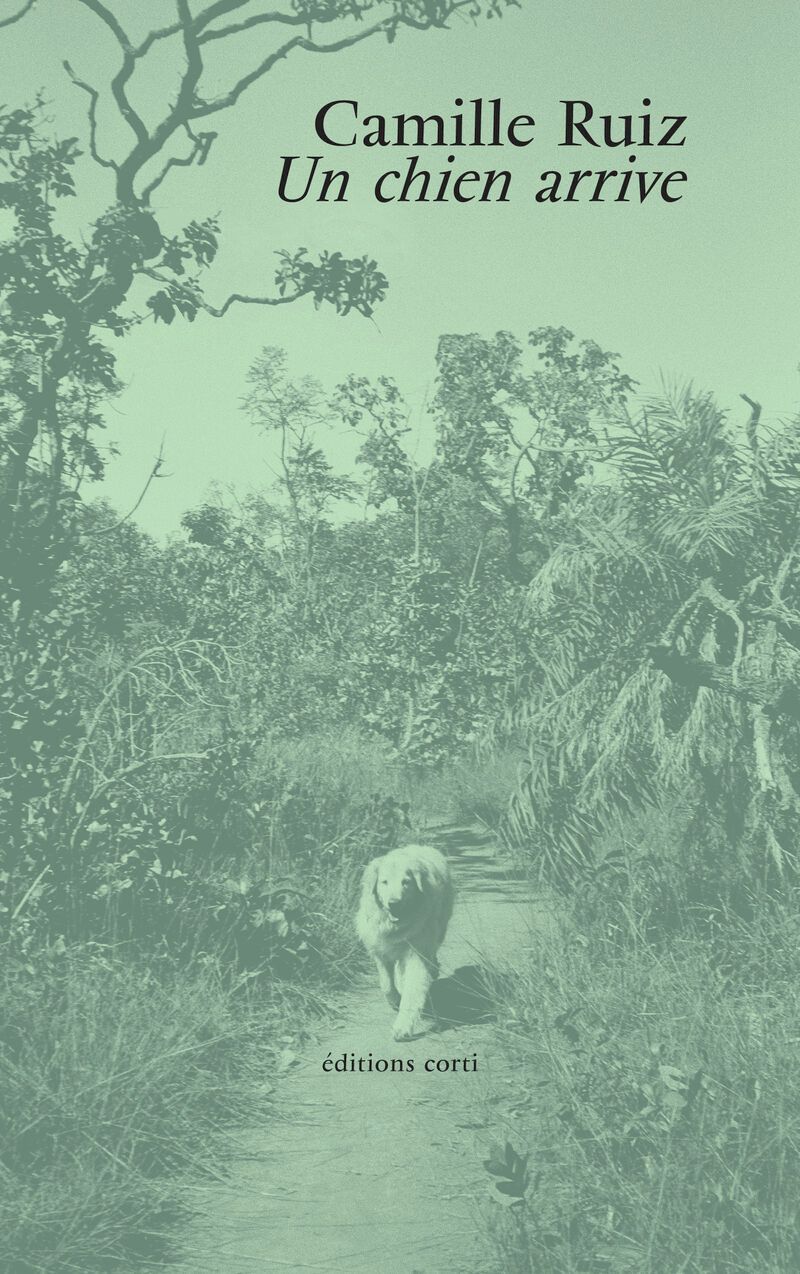 Camille Ruiz, Un chien arrive