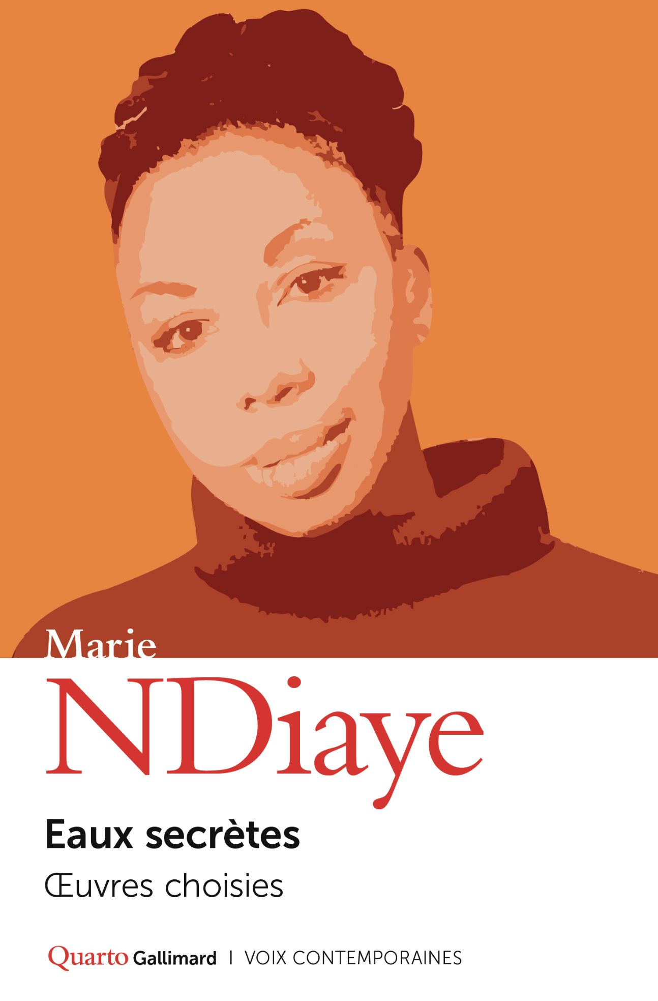 Marie NDiaye, Eaux secrètes. Œuvres choisies