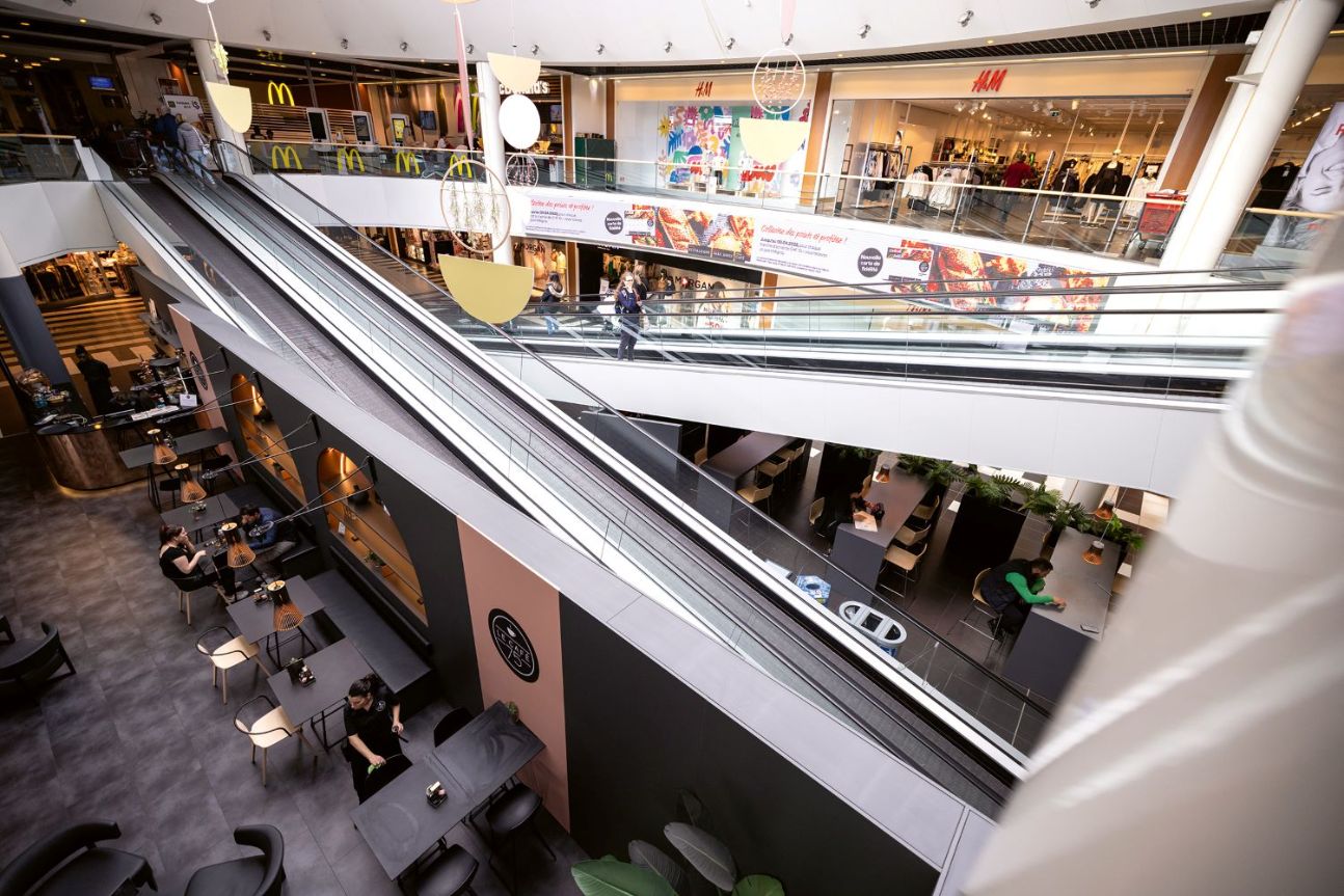 Écrivains sociologues