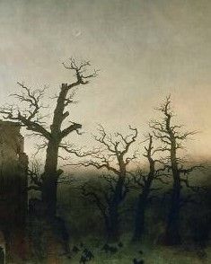 L’avenir des forêts : réflexions littéraires au prisme du postextractivisme (Passau, Allemagne)