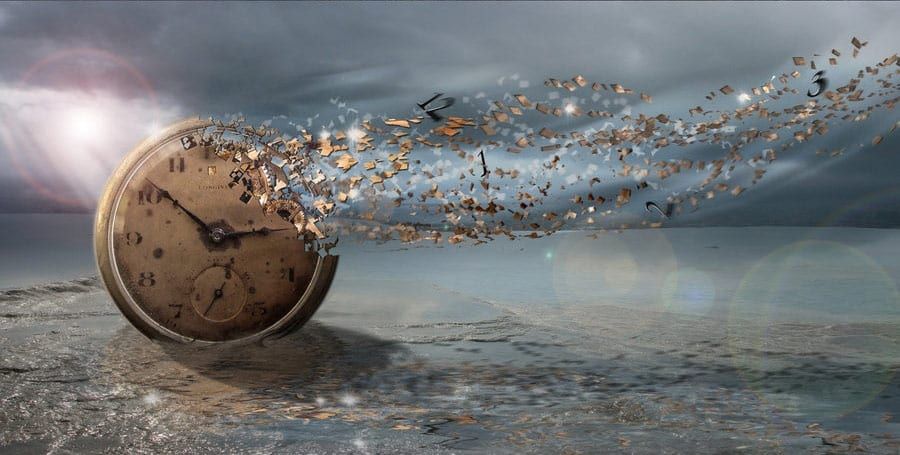 L'Oiseau Bleu, n° 10 printemps 2026 : 