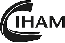 La violence au Moyen-Âge. Usages, représentations, perspectives. Journées d'études doctorales du CIHAM (MSH Lyon St-Etienne)