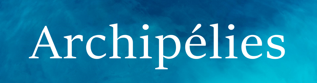 Le discours littéraire afro-antillais. Hommage au professeur Roger Toumson (revue Archipélies)