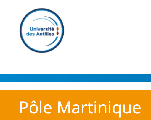 Écrire et représenter l'expérience au XXIe s. dans le monde américano-caribéen (Univ. des Antilles)
