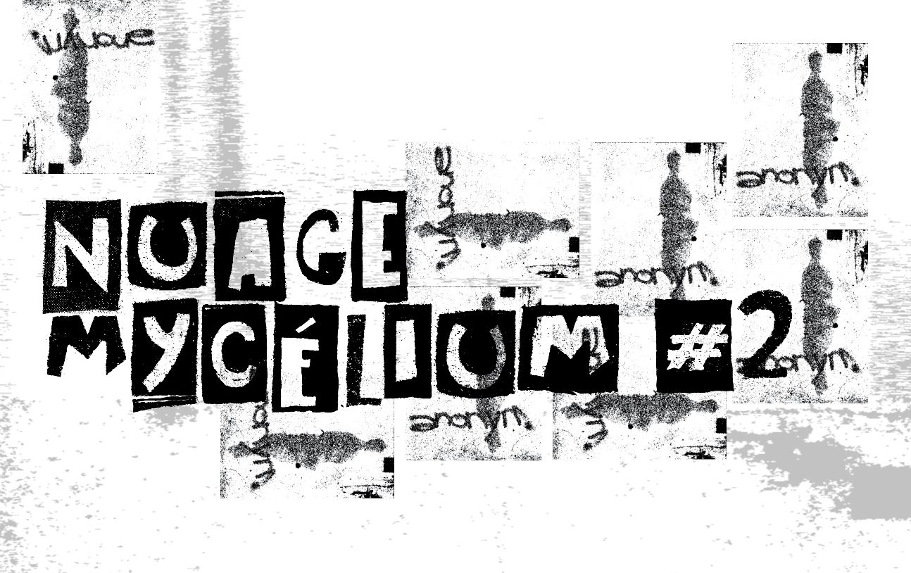 ICE Breakers. Hantises, résistances et imaginaires des corps racialisés, trans, queers et/ou migrants (revue radiophonique Nuage Mycelium)