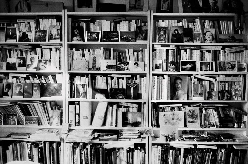 La bibliothèque d'Hervé Guibert (Mulhouse)