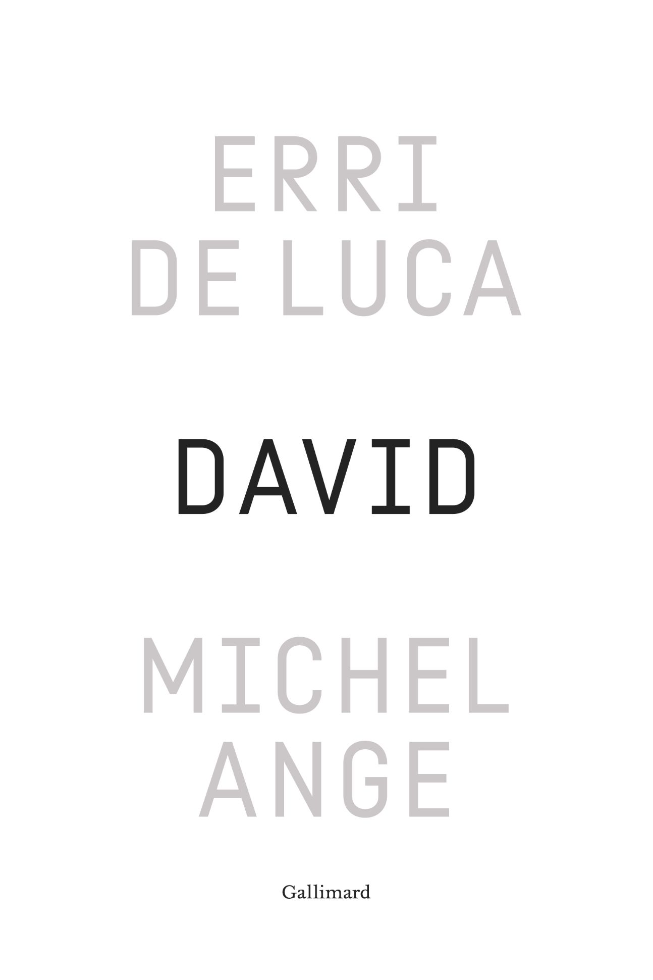 Erri De Luca, David, Michel-Ange. Enquête sur une disproportion